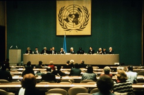 ©  United Nations, Negocjowanie protokołu w III Komitecie  Zgromadzenia Ogólnego Narodów Zjednoczonych, 2008 r.